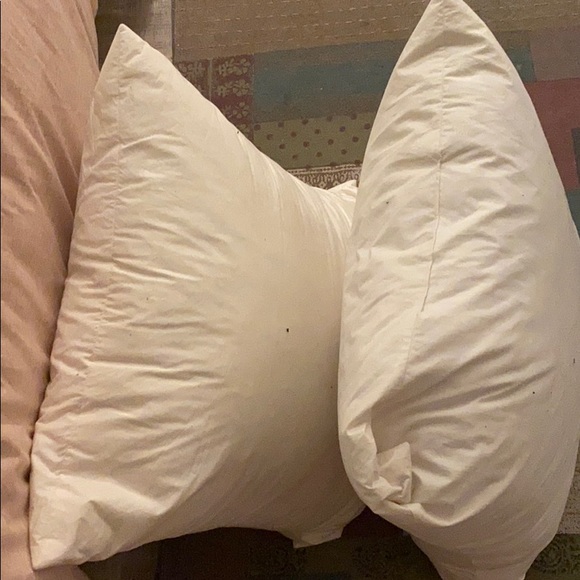 Pillow inserts - Picture 2 of 3